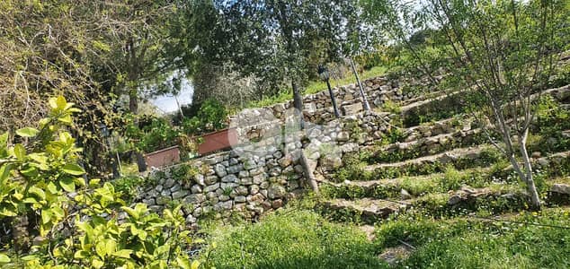 Independent house for rent in Batroun بيت مستقل للايجار في بترون