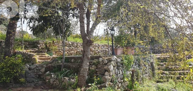 Independent house for rent in Batroun بيت مستقل للايجار في بترون