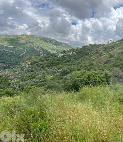 1235 Sqm | Land For Sale In Ammik ارض للبيع في عميق الشوف
