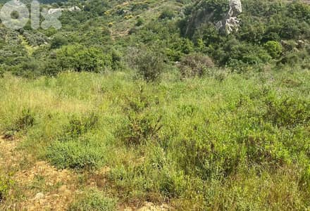 1235 Sqm | Land For Sale In Ammik ارض للبيع في عميق الشوف