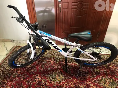 Bicycle size 24