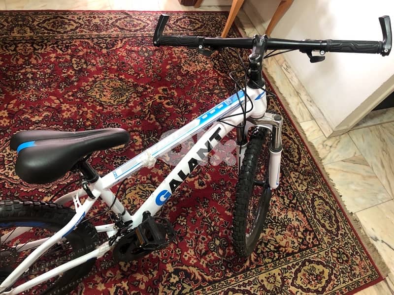 Bicycle size 24 1