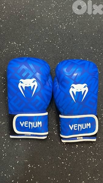 boxing gloves 1