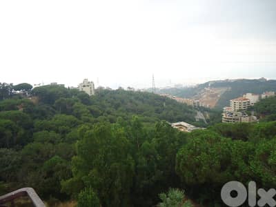 Apartment for rent in Ain Saade شقة للايجار في عين سعادة