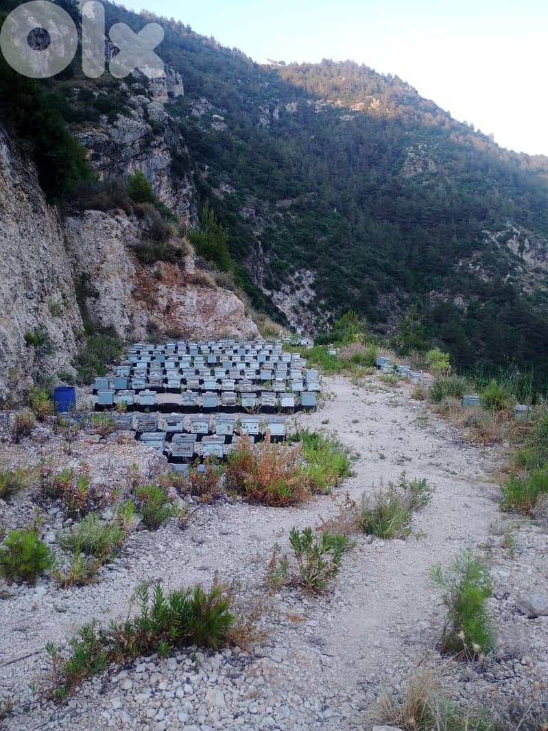 RWB333MT - Land for sale in Jbeil Blat 2