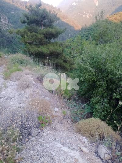 RWB333MT - Land for sale in Jbeil Blat