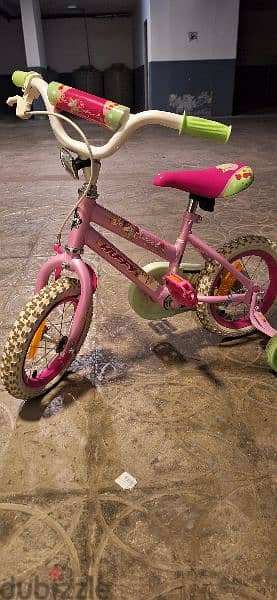 Bicycle for a girl 1