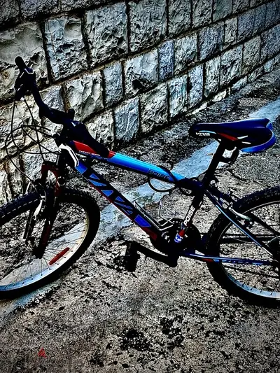 bicycle size 24
