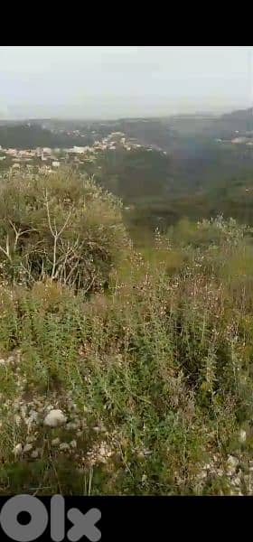 land for sale in hsaret jbeil. ارض للبيع في حصارات جبيل