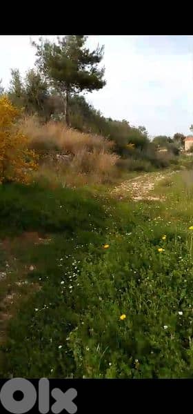 land for sale in hsaret jbeil. ارض للبيع في حصارات جبيل
