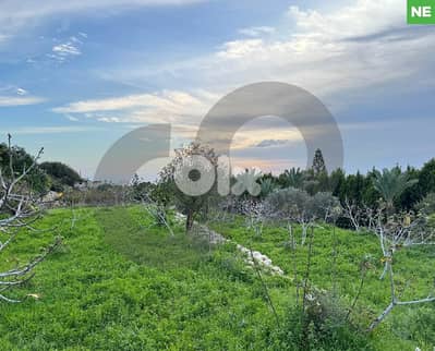 Panoramic view, clam area,Jbeil, berbara/ البربارة REF#NE100202