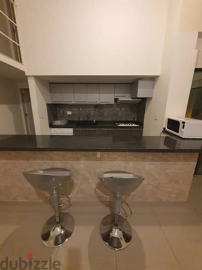 Luxurious Fully Furnished Apartments