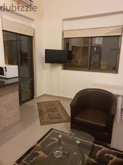 Luxurious Fully Furnished Apartments
