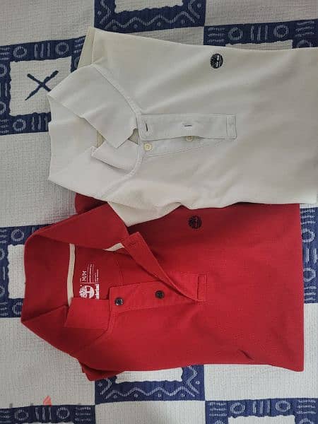 TIMBERLAND Polos great condition.  Medium 0