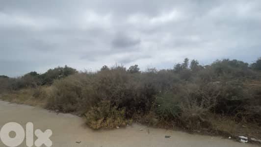 RWB166CA - Land for sale in Edde Jbeil