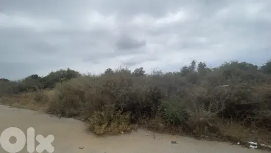 RWB166CA - Land for sale in Edde Jbeil