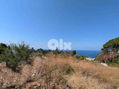 Land For Sale In Berbara | Strategical Location | أرض للبيع |PLS 26106