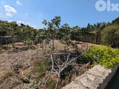 Land For Sale In Berbara | Strategical Location | أرض للبيع |PLS 26106