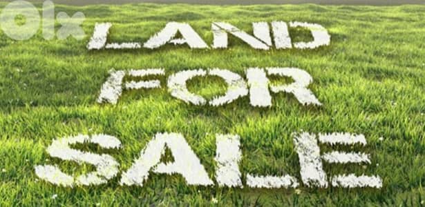 Land for sale in Zandouka ارض للبيع في زندوقة