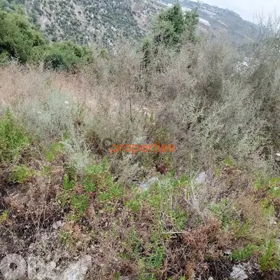 Land For sale In Hboub - Jbeilارض للبيع في حبوب جبيل  CPJRK205