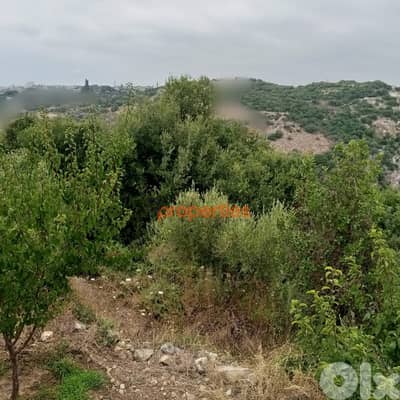 Land For sale In Hboub - Jbeilارض للبيع في حبوب جبيل  CPJRK205