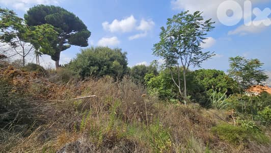 Land for sale in Ain Saadeh ارض للبيع في عين سعادة