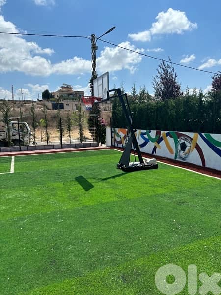 Portable basketball hoop 0