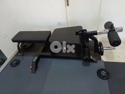 Leg extension leg curl Bench Heavy Duty 03027072 GEO SPORT