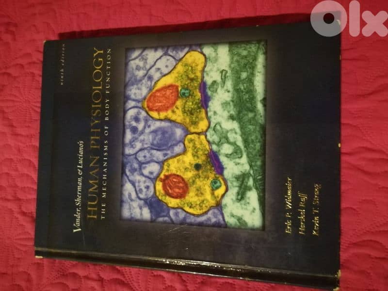 Human physiology 0