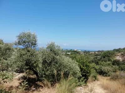 Land For Sale In Monsef | Calm Area | أرض للبيع | PLS 26120
