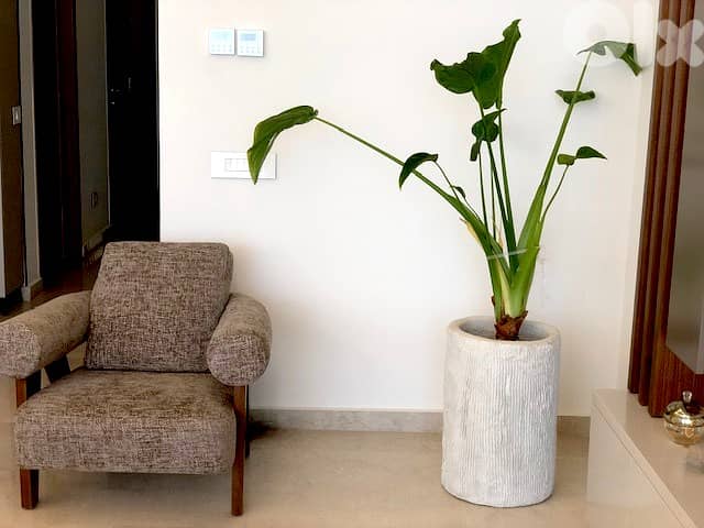Concrete planters 1