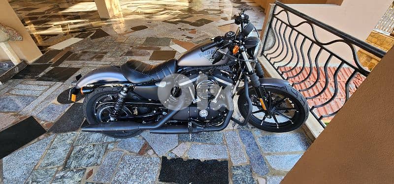 Iron 883 Harley Davidson 4