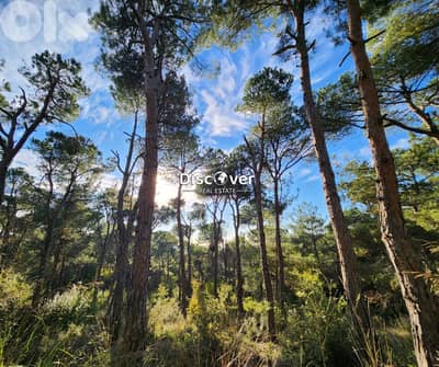 2,015sqm | Land for sale in Chalimar ( Shalimar ) - Baabdat