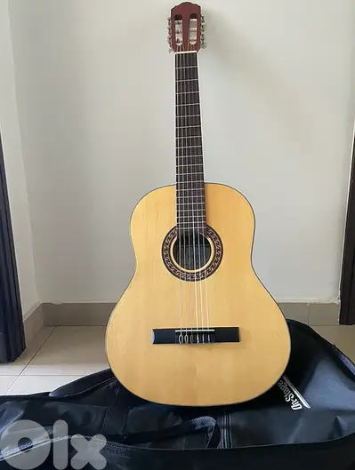 Brand New Toledo TC902MT Guitar with case