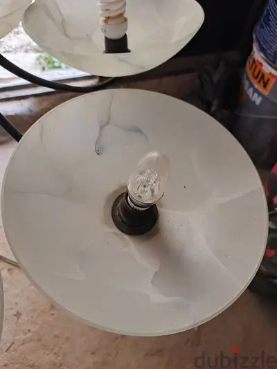Pendant light