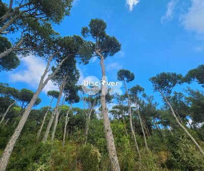 Rare land for sale in Baabdat - Shalimar ( chalimar )