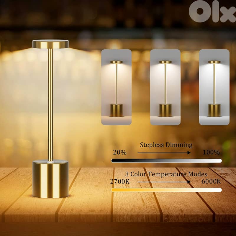Modern Iron Table Lamp with Rechargeable, Dimmable LED Light 4