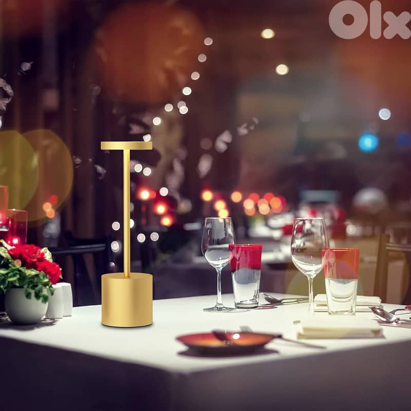 Modern Iron Table Lamp with Rechargeable, Dimmable LED Light 8