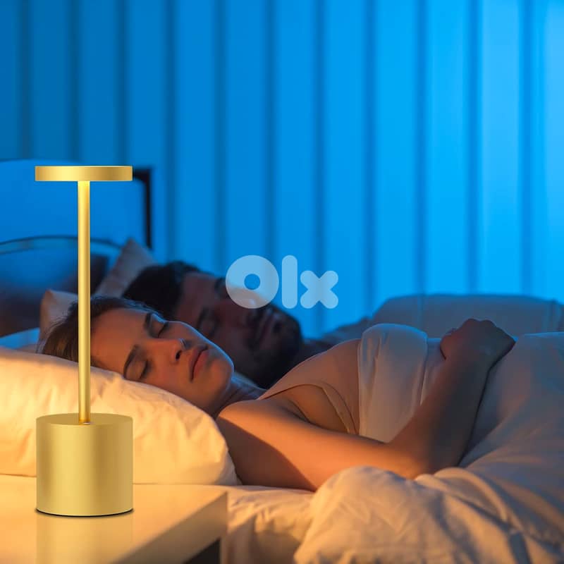 Modern Iron Table Lamp with Rechargeable, Dimmable LED Light 9