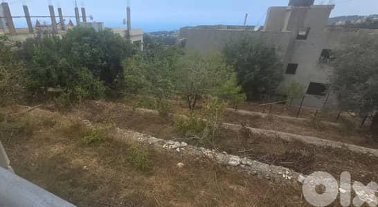L16091-A 550 SQM Land For Sale In Ghedras