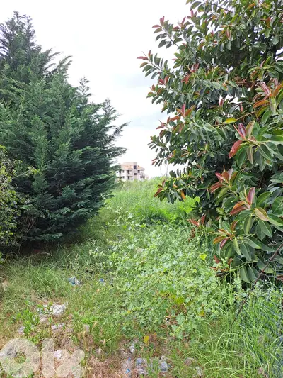 Land for sale in Bickfaya - Wadi Chahine ارض للبيع في بكفيا - وادي شاه