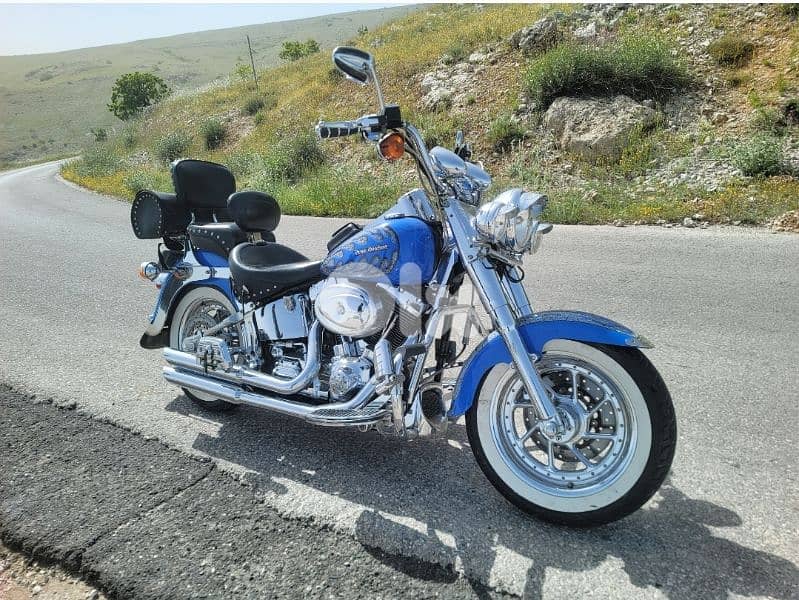 Rare Harley Davidson Fatboy 2001 Limited Edition # 90/150 0