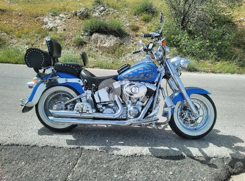 Rare Harley Davidson Fatboy 2001 Limited Edition # 90/150 3