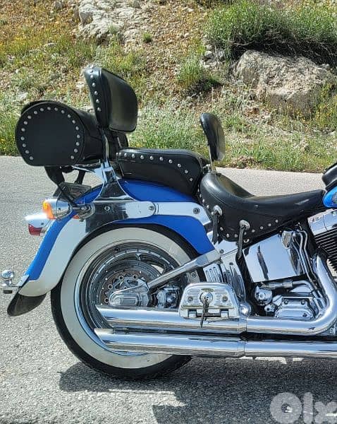 Rare Harley Davidson Fatboy 2001 Limited Edition # 90/150 4