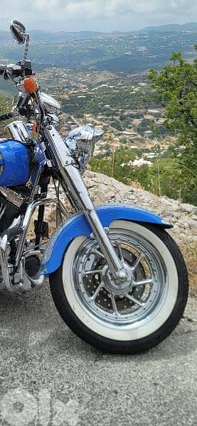 Rare Harley Davidson Fatboy 2001 Limited Edition # 90/150 5