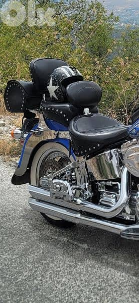 Rare Harley Davidson Fatboy 2001 Limited Edition # 90/150 6