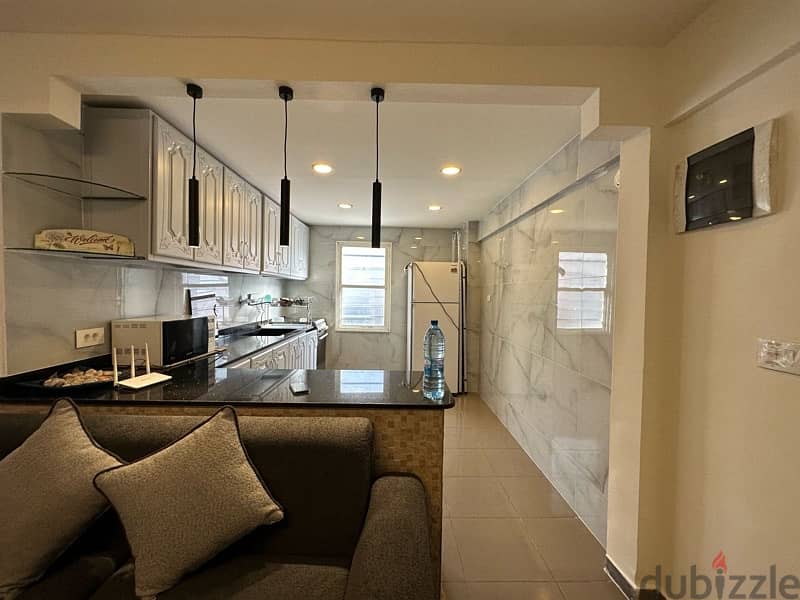 Classy Fully Furnished and equipped apartment for rent in hamra 0