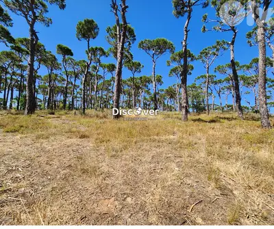 Land for Sale in Prestigious Bois de Boulogne ( Bolonia)