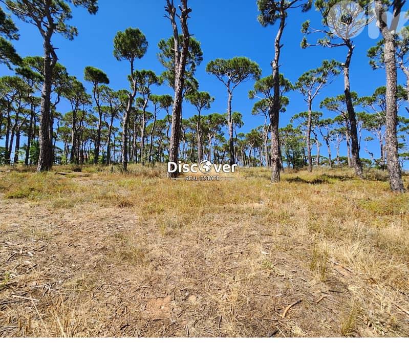 Land for Sale in Prestigious Bois de Boulogne ( Bolonia) 0