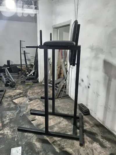 Dips and leg raises only for 150 dollar 03027072 GEO SPORT EQUIPMENT